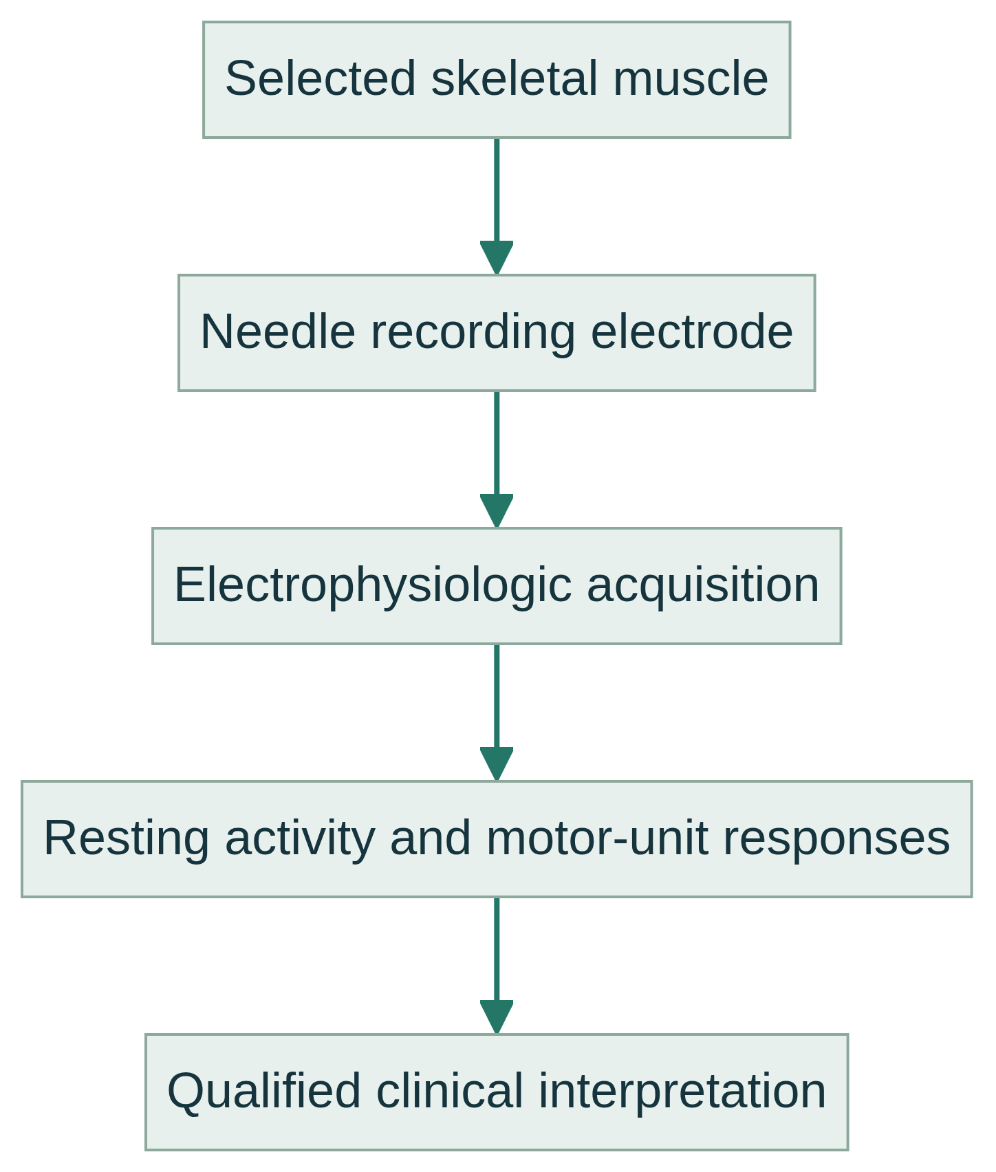 Needle EMG schematic: selected muscle to needle recording electrode, acquisition, resting and motor-unit responses, then qualified interpretation.